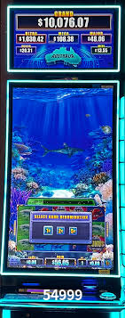 Crash Games Statistics 54999